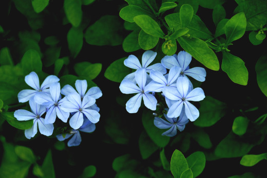 512591 (a): :2048x1360